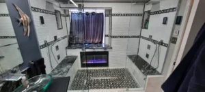 image of a remodeled bathroom in Little Elm, Texas
